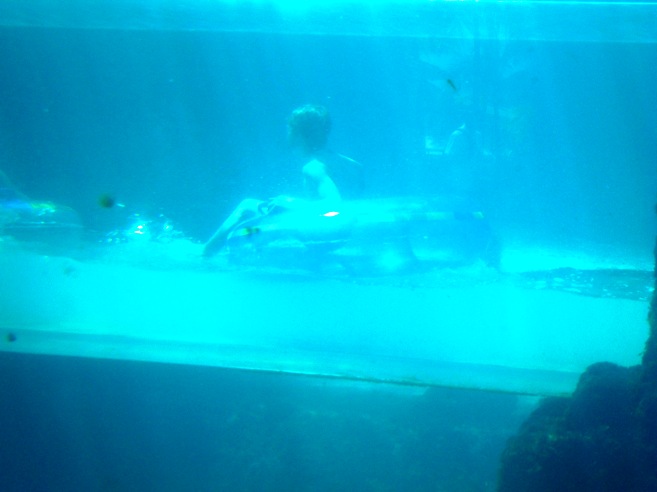 B31.jpg